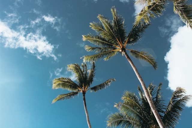 Wat zijn de voordelen van een fly drive vakantie?